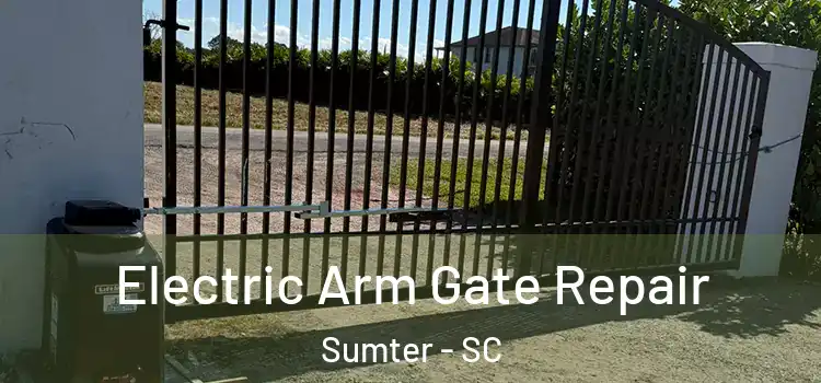 Electric Arm Gate Repair Sumter - SC