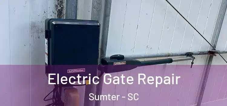Electric Gate Repair Sumter - SC