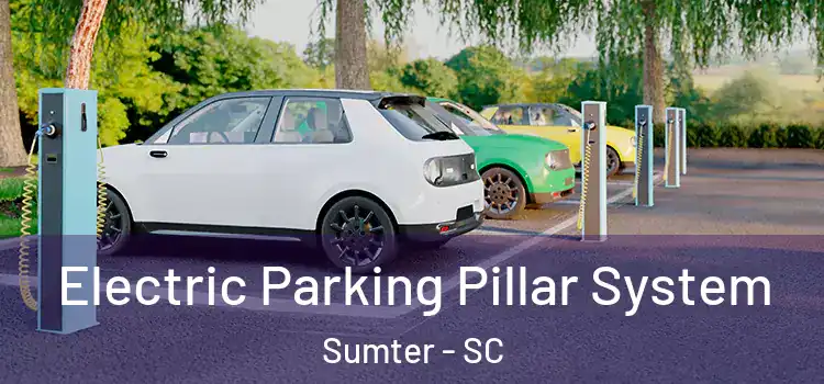 Electric Parking Pillar System Sumter - SC