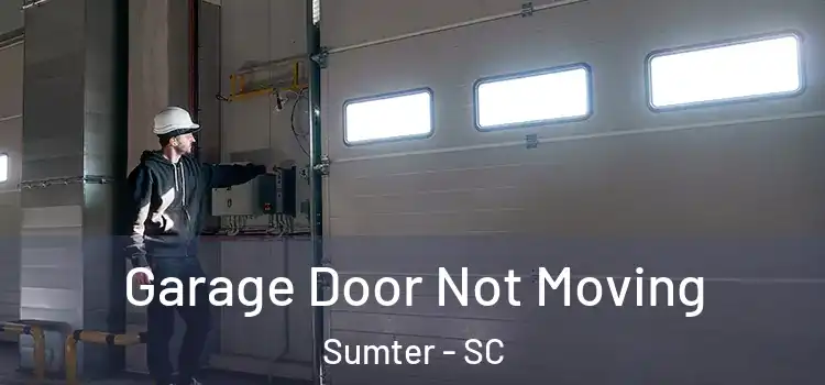  Garage Door Not Moving Sumter - SC