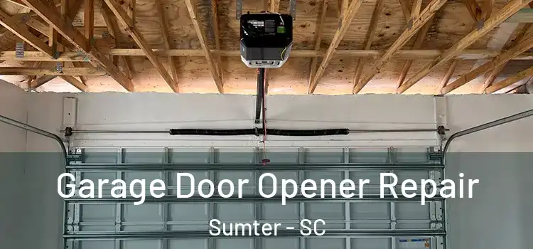  Garage Door Opener Repair Sumter - SC