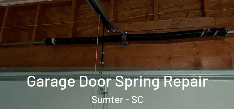  Garage Door Spring Repair Sumter - SC