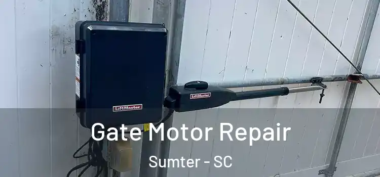 Gate Motor Repair Sumter - SC