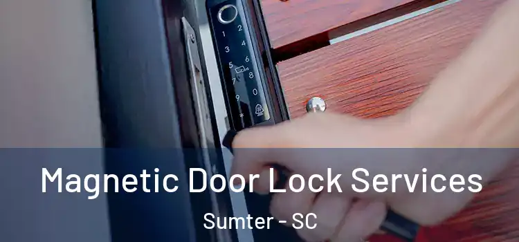 Magnetic Door Lock Services Sumter - SC
